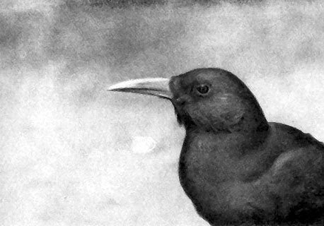 Неведомый Памир - doc2fb_image_02000017.jpg