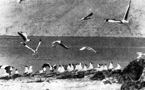 Неведомый Памир - doc2fb_image_02000020.jpg