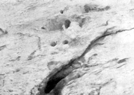 Неведомый Памир - doc2fb_image_02000024.jpg