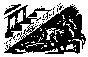 Буран - pic08.png