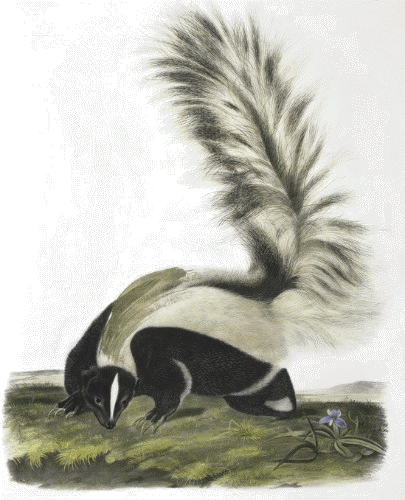 Дневник проказника - _32.png