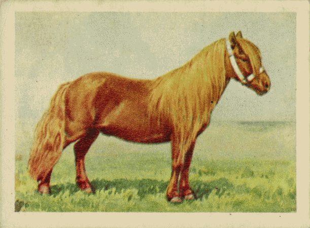 Дневник проказника - _59.png