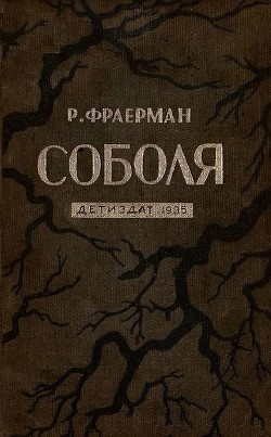 Книга Соболя