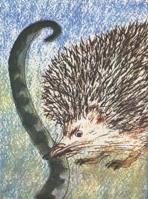 Истории из Бедокурии - i_037.jpg