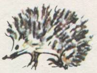 Истории из Бедокурии - i_038.jpg