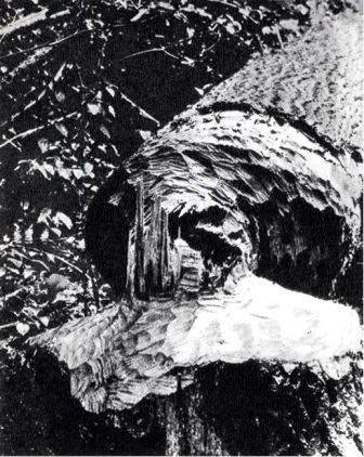 Северная Америка - doc2fb_image_0200003A.jpg