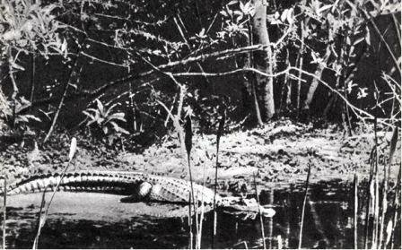 Северная Америка - doc2fb_image_02000069.jpg