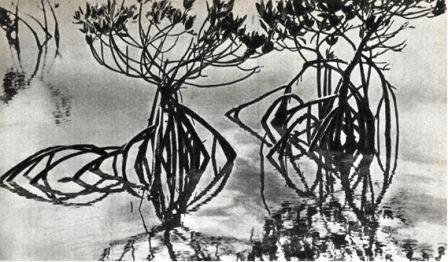 Северная Америка - doc2fb_image_0200006A.jpg