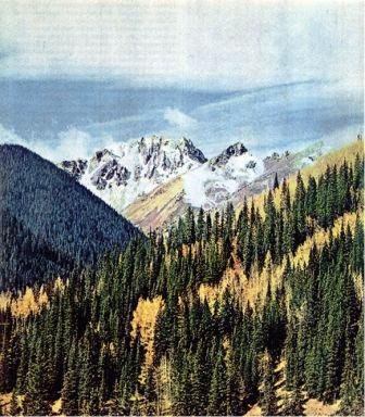 Северная Америка - doc2fb_image_02000077.jpg