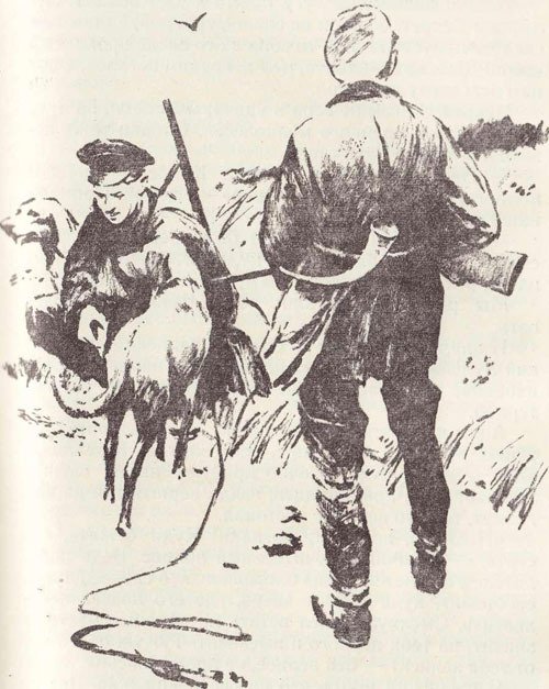 У птенцов подрастают крылья - i_008.jpg