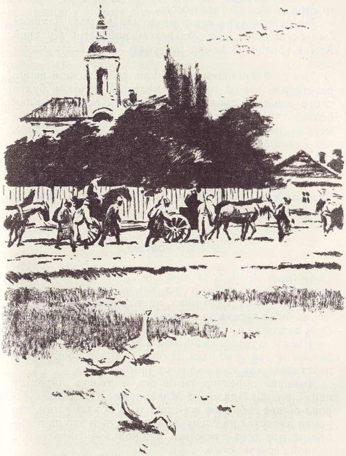 У птенцов подрастают крылья - i_010.jpg