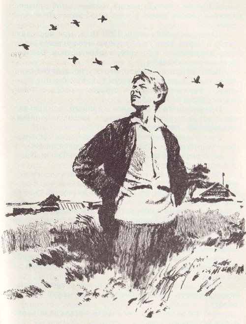 У птенцов подрастают крылья - i_011.jpg