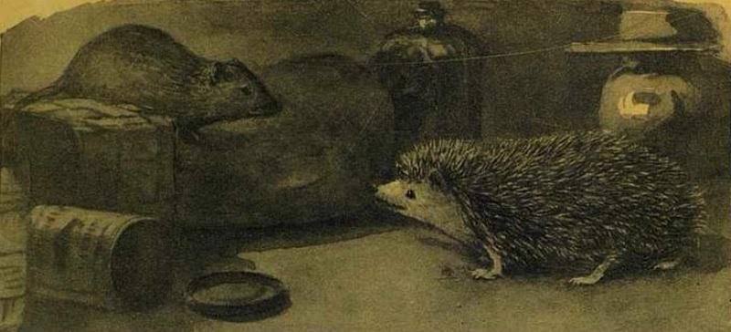 Колючая семейка - i_009.jpg