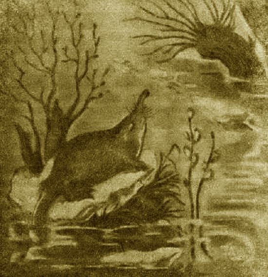 Выхухоль - i_017.jpg