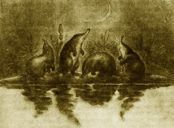 Выхухоль - i_023.jpg