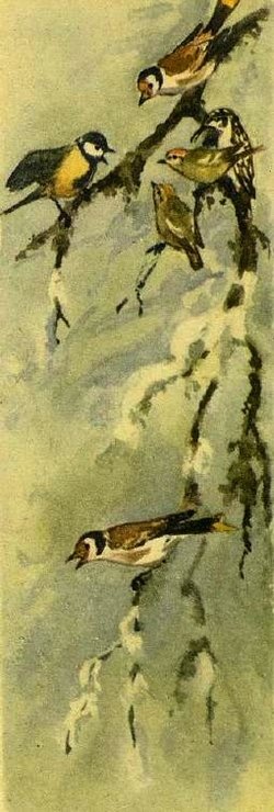 Весне навстречу - i_017.jpg