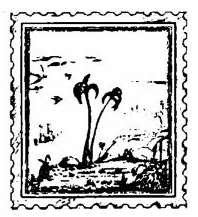 Доктор Дулитл и его звери - i_027.jpg