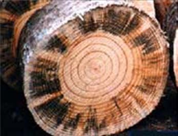 Типология разрушений памятников культуры - i_077.jpg