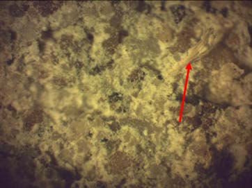 Типология разрушений памятников культуры - i_103.jpg