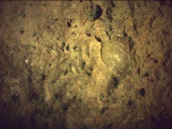 Типология разрушений памятников культуры - i_104.jpg