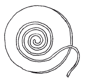 Работа с нетрадиционными материалами в детском саду. Поролон, ватные диски, ватные шарики, гофрированный картон - i_009.png