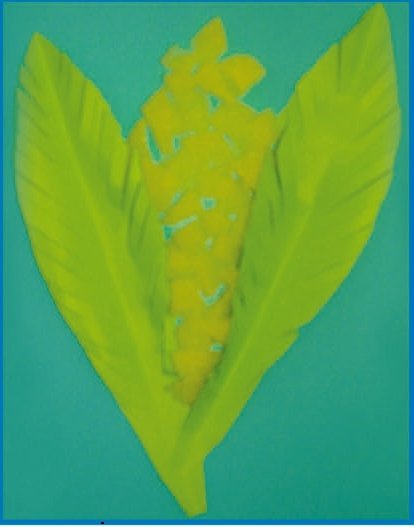 Работа с нетрадиционными материалами в детском саду. Поролон, ватные диски, ватные шарики, гофрированный картон - i_043.jpg