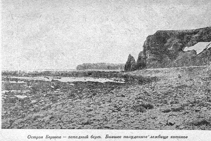 Великая Северная экспедиция - fig11.jpg