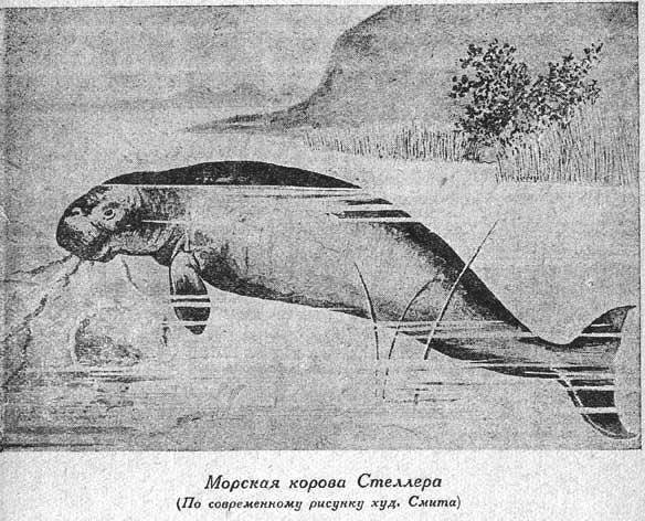 Великая Северная экспедиция - fig12.jpg