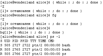 Прикладные свободные программы и системы в школе - _1_50.png