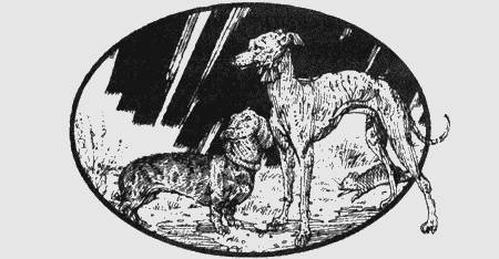 Приключения чёрной таксы - _62.jpg