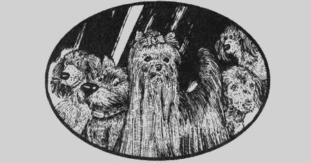 Приключения чёрной таксы - _9.jpg