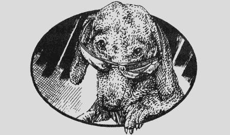 Приключения чёрной таксы - _53.jpg