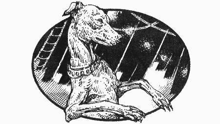 Приключения чёрной таксы - _68.jpg