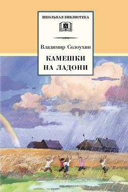 Книга Камешки на ладони (сборник)