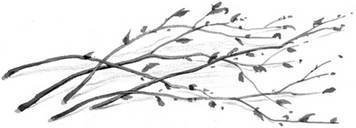 Все самое лучшее для детей (сборник) - i_038.jpg