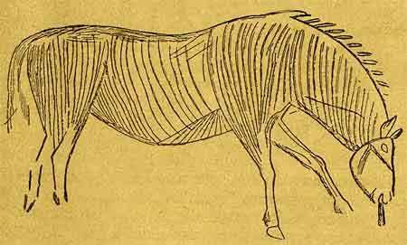 Кремень и кость - i_128.jpg