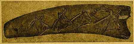 Кремень и кость - i_141.jpg