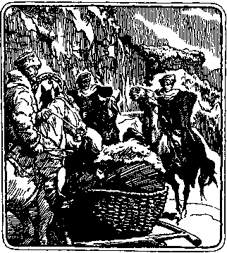 По следам дикого зубра - any2fbimgloader29.png