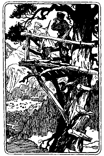 По следам дикого зубра - any2fbimgloader30.png