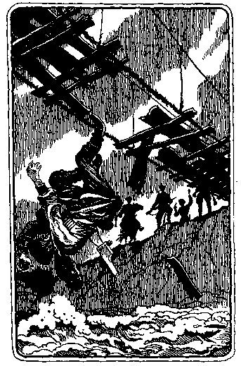 По следам дикого зубра - any2fbimgloader37.png