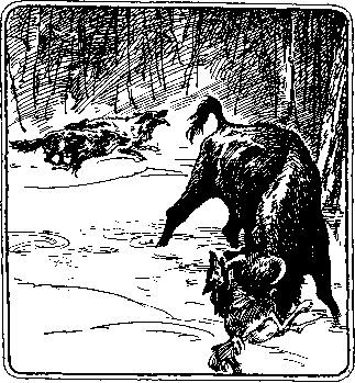 По следам дикого зубра - any2fbimgloader44.png