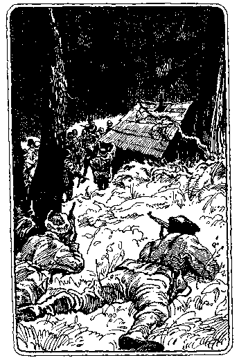 По следам дикого зубра - any2fbimgloader46.png