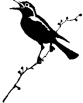 Восточный кордон - i_001.png
