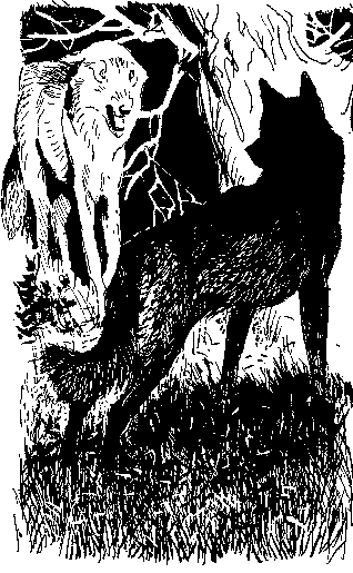 Восточный кордон - i_003.png