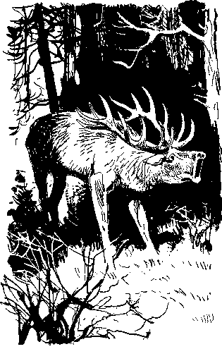 Восточный кордон - i_005.png