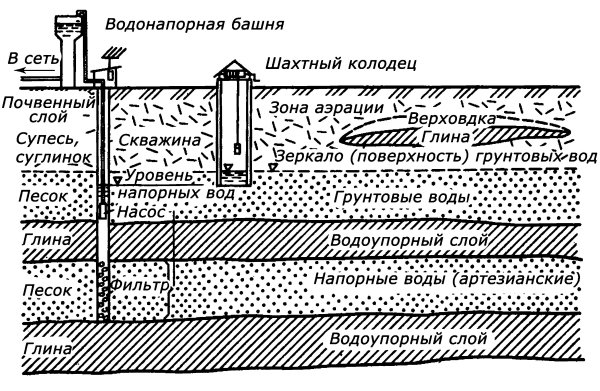 Загородный участок с нуля - i_059.jpg