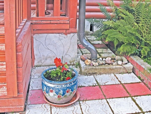 Загородный участок с нуля - i_066.jpg
