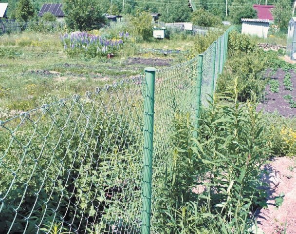 Загородный участок с нуля - i_085.jpg