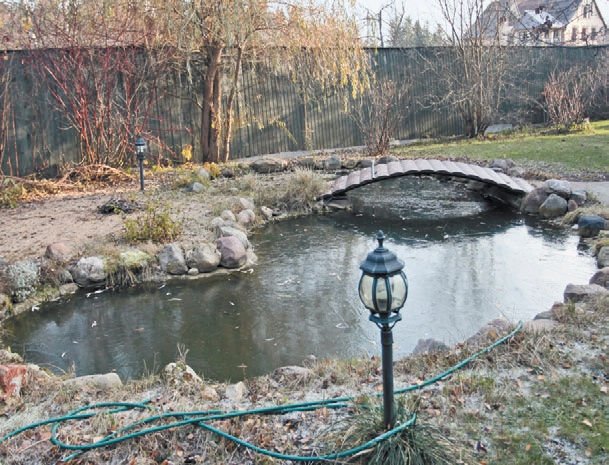 Загородный участок с нуля - i_243.jpg