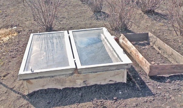Загородный участок с нуля - i_313.jpg